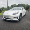 TESLA MODEL 3 PERFORMANCE 450 BHP