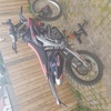 Crf 450 x