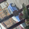 BMW 1 series's msport