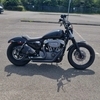 Harley davidson nightster 1200xl