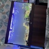 450l juwel aquarium with stand