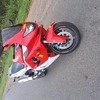 Yamaha yzf 600 thunder cat