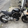Yamaha bt 1100 bulldog