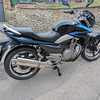 SUZUKI GW250 INAZUMA 2015 - MINT