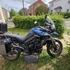 Triumph tiger 800