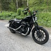 2011 Harley iron 883 sportster