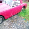 1959 frogeye sprite