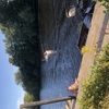 Speedboat