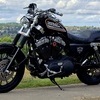 Harley Davidson Sportster 883r FMOT