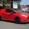 Fiesta van