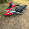 Pgo gmax