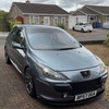 Peugeot 307 feline (180)