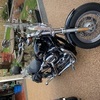 Harley Davidson 1200s sportster