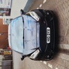 Panther Black Fiesta ST3