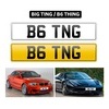 BIG TING / B6 THING Plate - B6 TNG