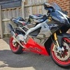 Aprilia rsv
