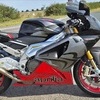 Aprilia rsv