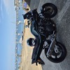 Bandit 1200s