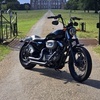 Harley davidson nightster 1200xl