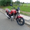 Yamaha YBR 125 2009