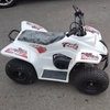 Quadzilla Buzz 50cc