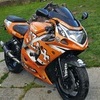 Rizla orange gsxr 600