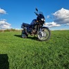 Triumph tiger 955i