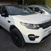 Landrover discovery sport