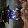 Quadzilla 675cc superbike engine