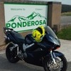 Honda VFR800 vtec 2002