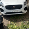 Jaguar e pace cat s