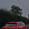 Audi RS4 sports edition