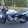Honda cb 600 hornet