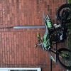 2021 150cc Pitbike
