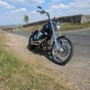 Harley softail chopper swap/sell