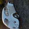 Classic beetle 1967