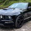 Mustang S197