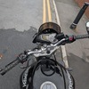 Triumph street triple 675 60 plate