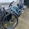 Trek marlin 2023/2024 model