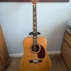Tanglewood TW1000 Solid wood guitar