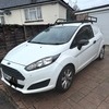 2014 fiesta van