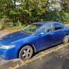 Executive edition Honda Accord k20