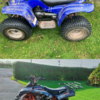 2 quads   100cc and 125cc