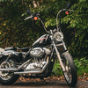 2005 Harley Davidson Sportster