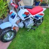 50cc monkey bike