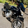 1250cc Suzuki Bandit 2007