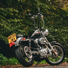 Swap/ PX Harley Sportster WHY?