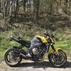 Yamaha fz1n/r1  swap rs250 s1000r