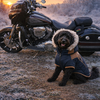 Indian chieftain limited 2018