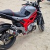Suzuki sfv650 gladius